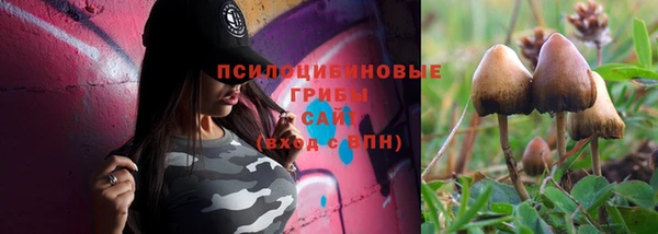 не бодяженный Янаул