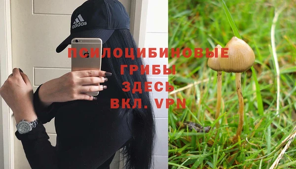 хмурый Яровое