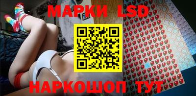 mdpv Гатчина