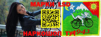 mdpv Гатчина