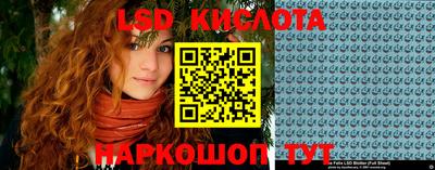 mdpv Гатчина