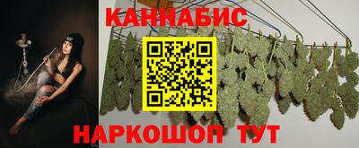 mdpv Гатчина