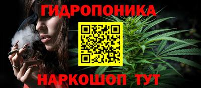 mdpv Гатчина