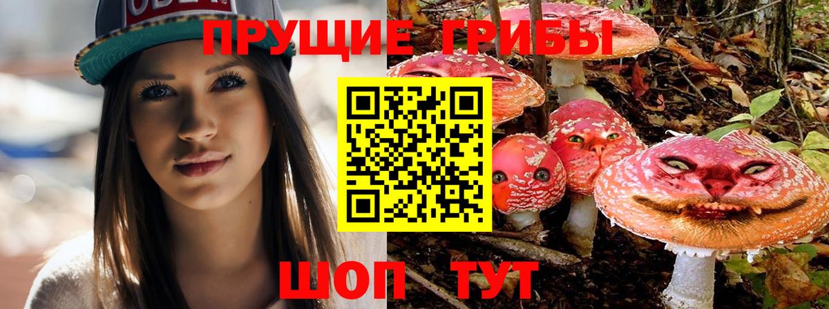 Галлюциногенные грибы Cubensis Миасс